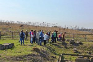 Tarquinia - Visite guidate all’Ara della Regina e al Pianoro della Civita