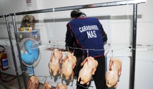I carabinieri del Nas