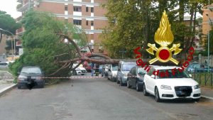 Vigili del fuoco in azione per il vento 