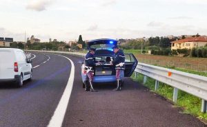 Polstrada - Agenti al lavoro