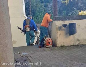 Viterbo - Gli operai al lavoro col decespugliatore