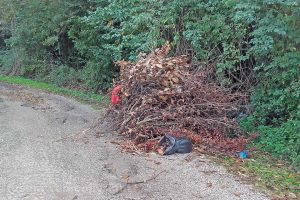 Ronciglione - Potatura scaricata lungo la strada