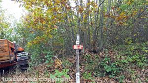 Coppia si perde sul Monte Fogliano - Il luogo del ritrovamento