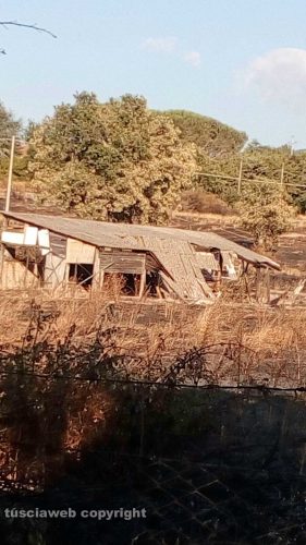 Viterbo - Palanzana- Eternit e degrado in un ex rifugio