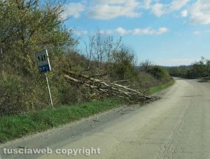 Acquapendente - Le condizioni della SR2 km 141 in direzione Siena