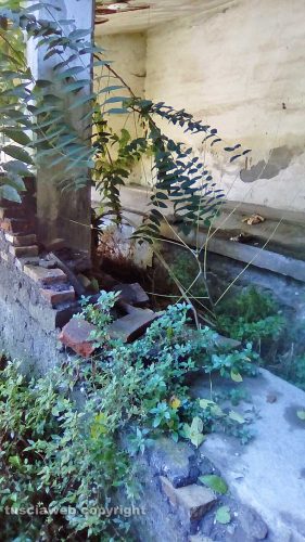 Viterbo - Lavatoio in via Signorelli nel degrado