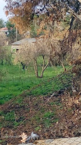 Viterbo - Palanzana- Eternit e degrado in un ex rifugio