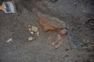 Vulci - Ritrovata tomba dell'VIII secolo