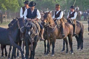 Sport - Equitazione - L'equiraduno di Blera