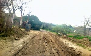 Tarquinia - Strada Banditella