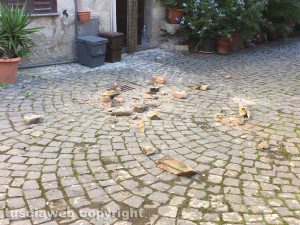 Terremoto - Crolli a Graffignano