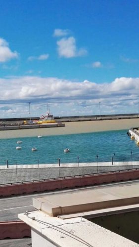 Acque marroni al porto di Civitavecchia