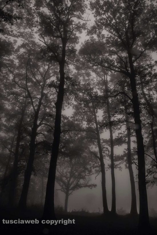 Monti Cimini nella nebbia
