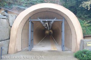 Viterbo - L'ascensore a valle Faul