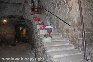 Viterbo - Avvistamenti al quartiere San Pellegrino