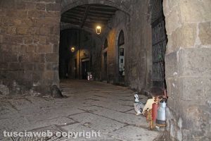 Viterbo - Avvistamenti al quartiere San Pellegrino