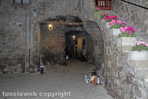 Viterbo - Avvistamenti al quartiere San Pellegrino