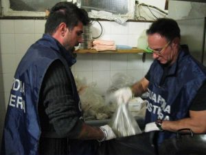 I sequestri della Guardia Costiera