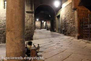 Viterbo - Avvistamenti al quartiere San Pellegrino
