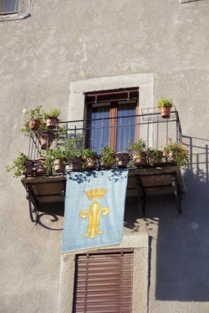 Vallerano - Festa della castagna