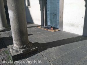 Viterbo - Piazza del Comune - Un uomo dorme sotto ai portici