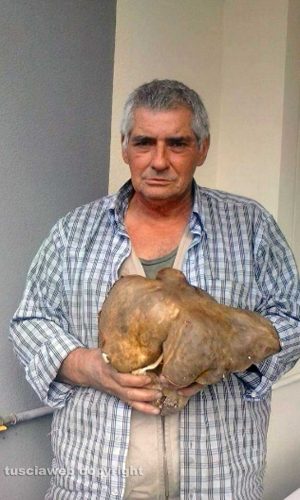 Canino - Alberto Cannella e un fungo di oltre 2 chili