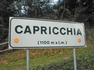 Comune e associazioni di Vitorchiano ad Amatrice 