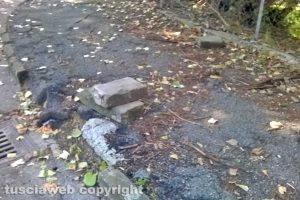 Viterbo - Le strade di Bagnaia nel degrado