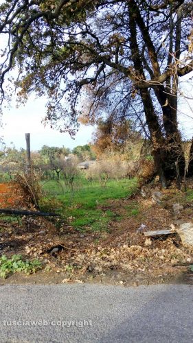 Viterbo - Palanzana- Eternit e degrado in un ex rifugio