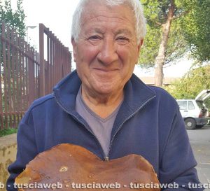 Bolsena - Il fungo di Alessandro Fedi