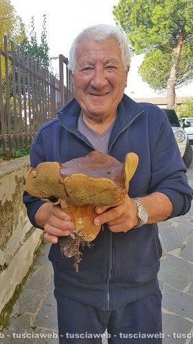 Bolsena - Il fungo di Alessandro Fedi