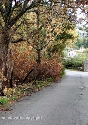 Viterbo - Strada Palanzana nel degrado