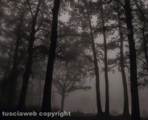 Monti Cimini nella nebbia