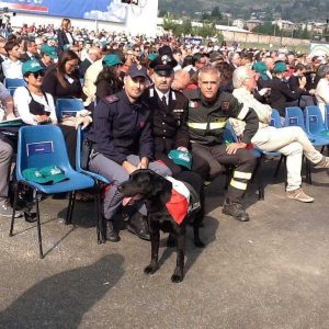 Il capo squadra Gianluca Cannone, del comando provinciale di Viterbo su Rai 1
