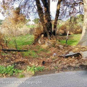 Viterbo - Palanzana- Eternit e degrado in un ex rifugio