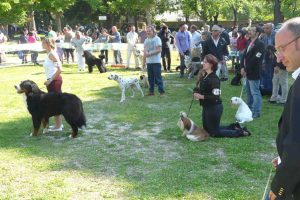Viterbo - Una passata edizione dell'Expo regionale dell'Enci