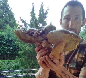 Capranica - I funghi di Luigino Capodimonte