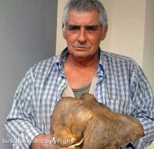Canino - Alberto Cannella e un fungo di oltre 2 chili