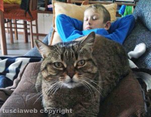 Viterbo - Il mio amico del cuore - Emanuele e Alice