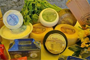 Pecorino