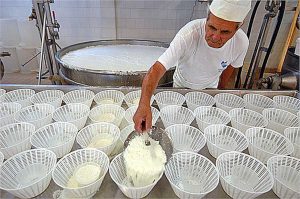 La produzione del formaggio