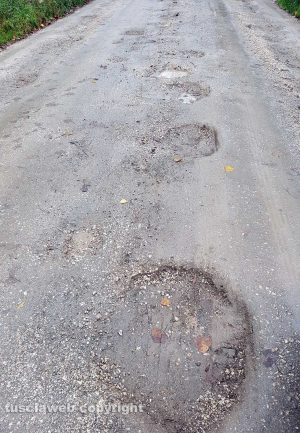 Le buche sulla Provinciale lago di Bolsena