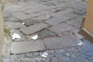 Viterbo - La sporcizia lungo via dell'Archetto