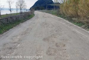 Le buche sulla Provinciale lago di Bolsena