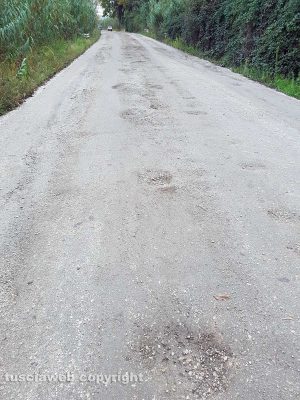 Le buche sulla Provinciale lago di Bolsena