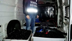 Intervento della guardia costiera 