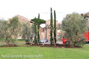 Viterbo . La rotatoria fuori valle Faul