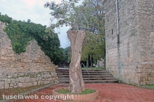 Tarquinia - Il giardino della Ripa