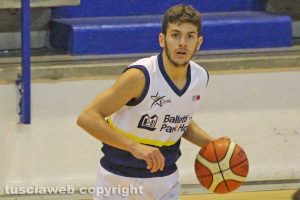Sport - Pallacanestro - Stella azzurra - Francesco Ingrillì