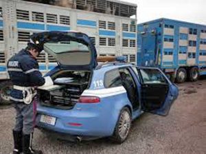 Controlli della Polstrada